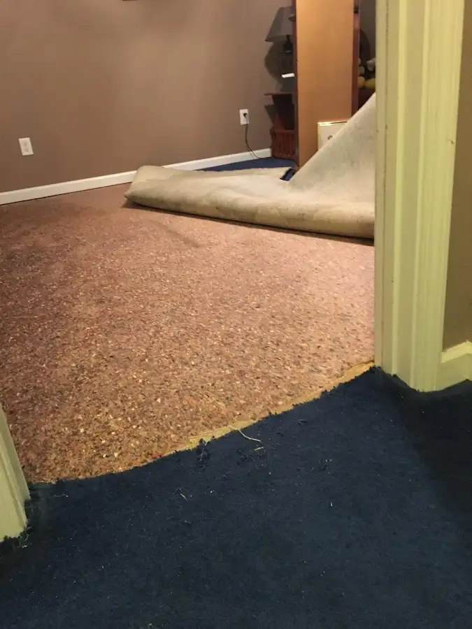 Carpet pad removal revealing water damage during Drying & Dehumidification in Orangetree