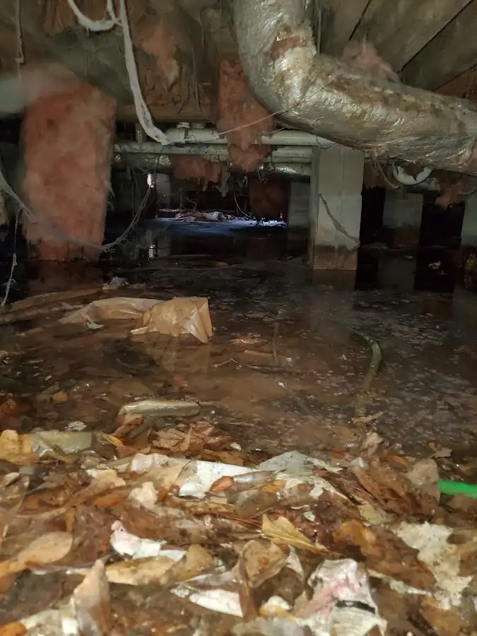Crawl space flood assessment for Leak Detection & Repair in Orangetree