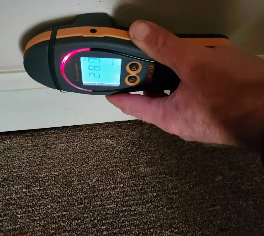 Moisture detection at baseboard during Mold Inspection & Testing in Orangetree